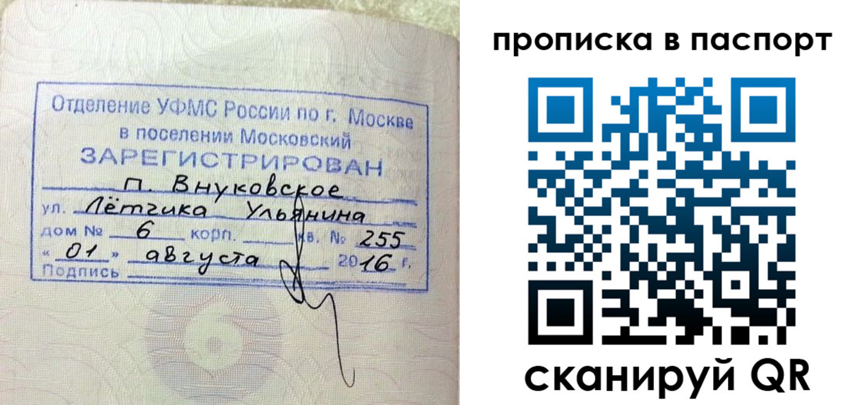временная прописка в Калининграде